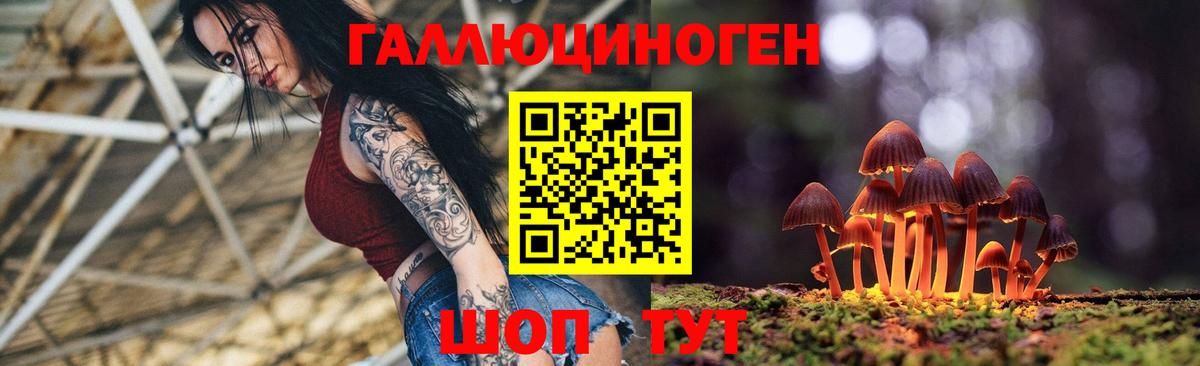 Псилоцибиновые грибы Cubensis Ликино-Дулёво